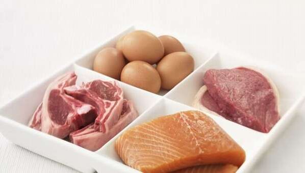 protein foods to lose weight